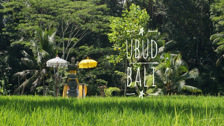 cover ubud